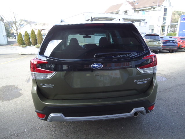 SUBARU Forester Station 2.0i e-Boxer Swiss Plus, Hybride Integrale Benzina/Elettrica, Auto dimostrativa, Automatico - 5