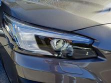 SUBARU Outback 2.5i Luxury AWD MJ24, Benzina, Auto nuove, Automatico - 2