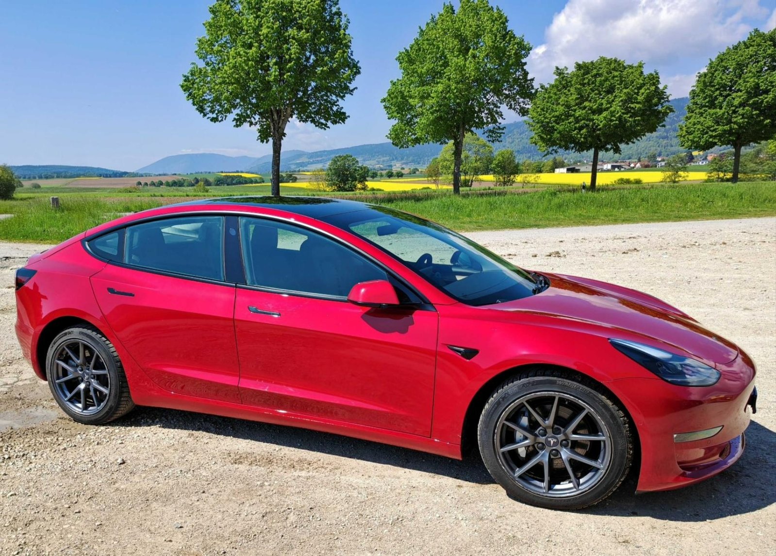 TESLA Model 3 Long Range D, Électrique, Occasion / Utilisé, Automatique