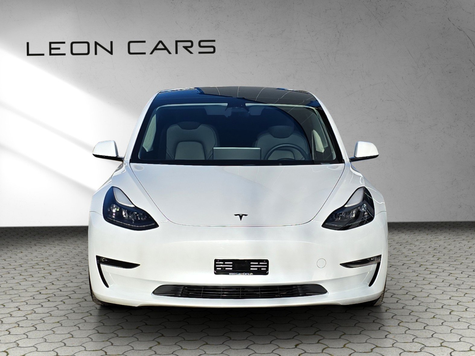 TESLA Model 3 Performance Dual Motor AWD 535 PS, Électrique, Occasion / Utilisé, Automatique - 2