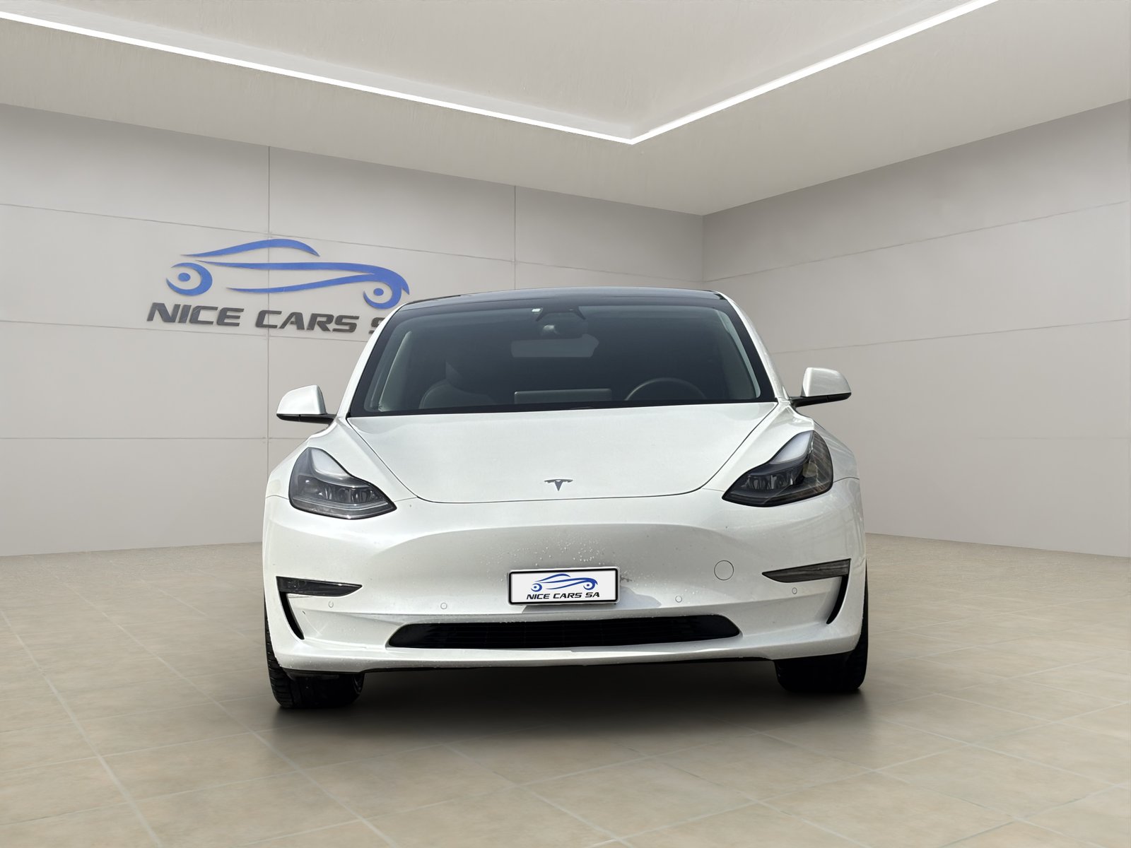TESLA Model 3 Performance Dual Motor AWD, Électrique, Occasion / Utilisé, Automatique - 2