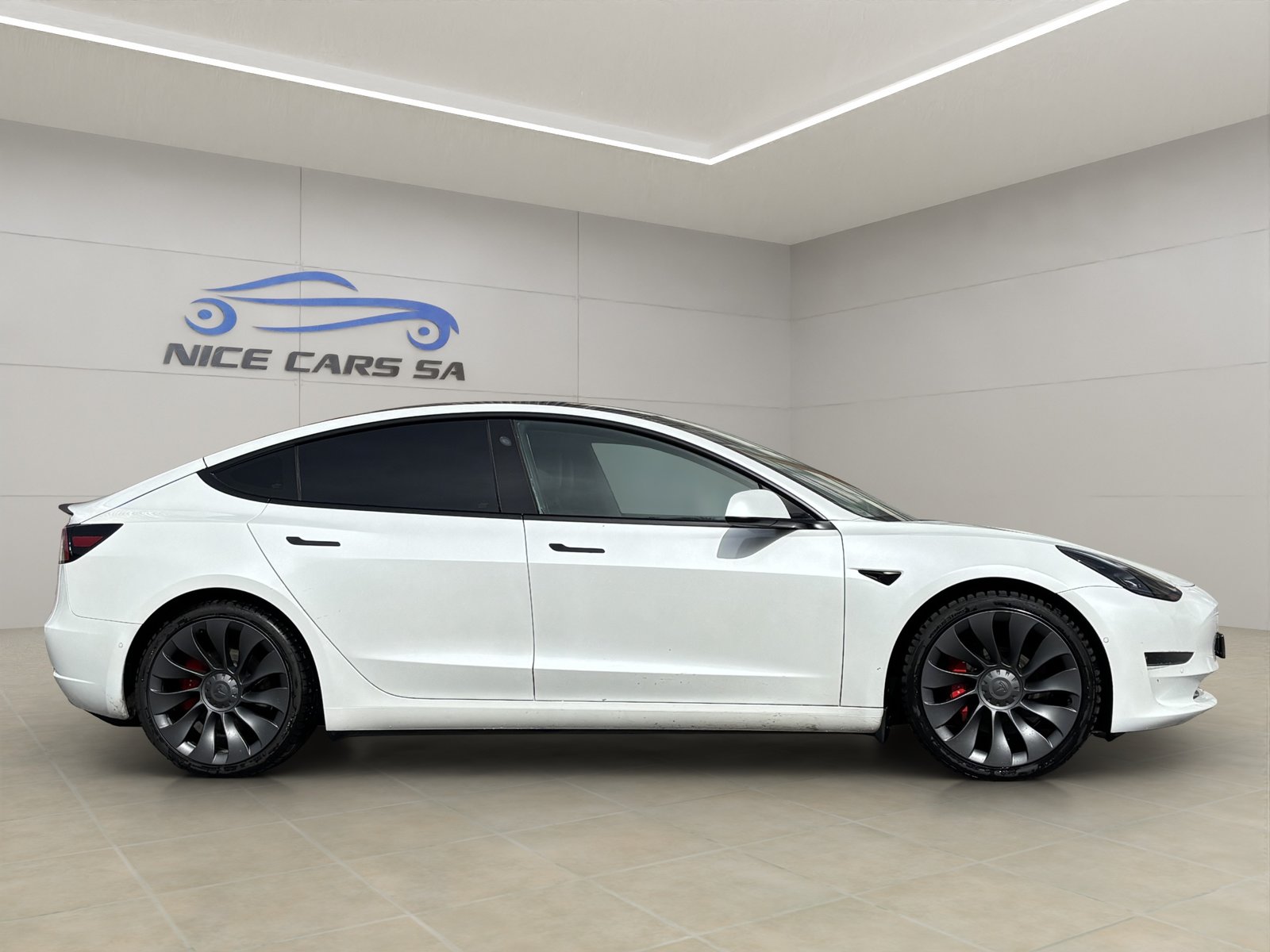TESLA Model 3 Performance Dual Motor AWD, Électrique, Occasion / Utilisé, Automatique - 6