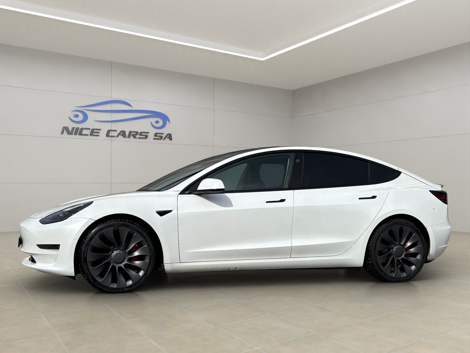 TESLA Model 3 Performance Dual Motor AWD, Électrique, Occasion / Utilisé, Automatique - 7