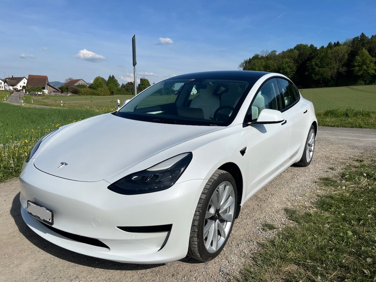 TESLA Model 3 Standart Range Plus