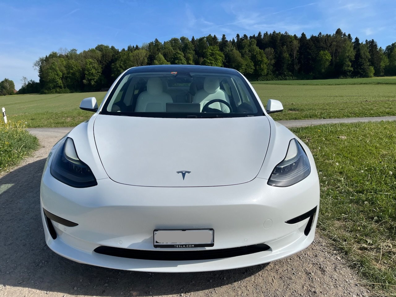 TESLA Model 3 Standart Range Plus, Elettrica, Occasioni / Usate, Automatico - 2