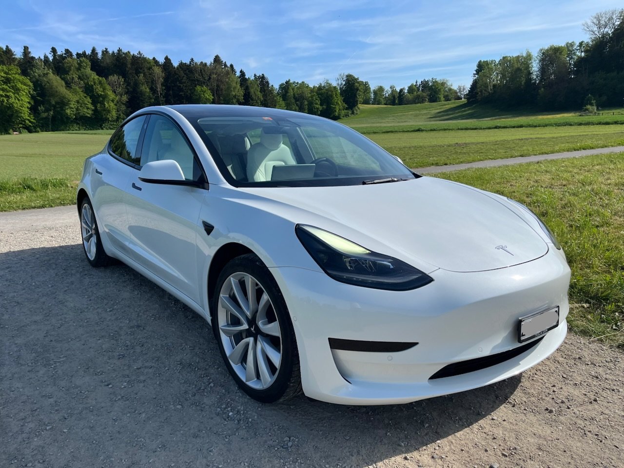 TESLA Model 3 Standart Range Plus, Elettrica, Occasioni / Usate, Automatico - 3
