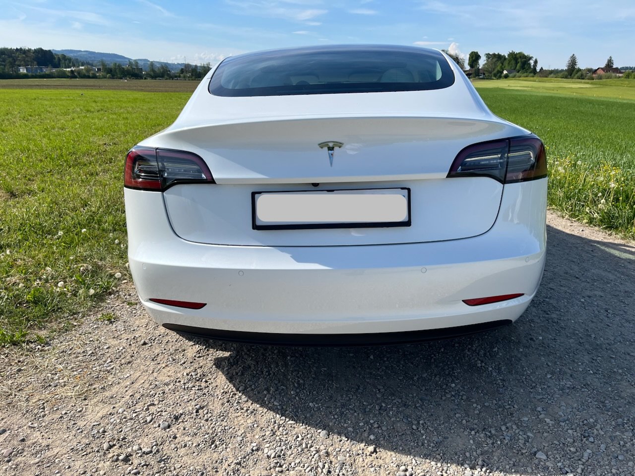 TESLA Model 3 Standart Range Plus, Elettrica, Occasioni / Usate, Automatico - 4