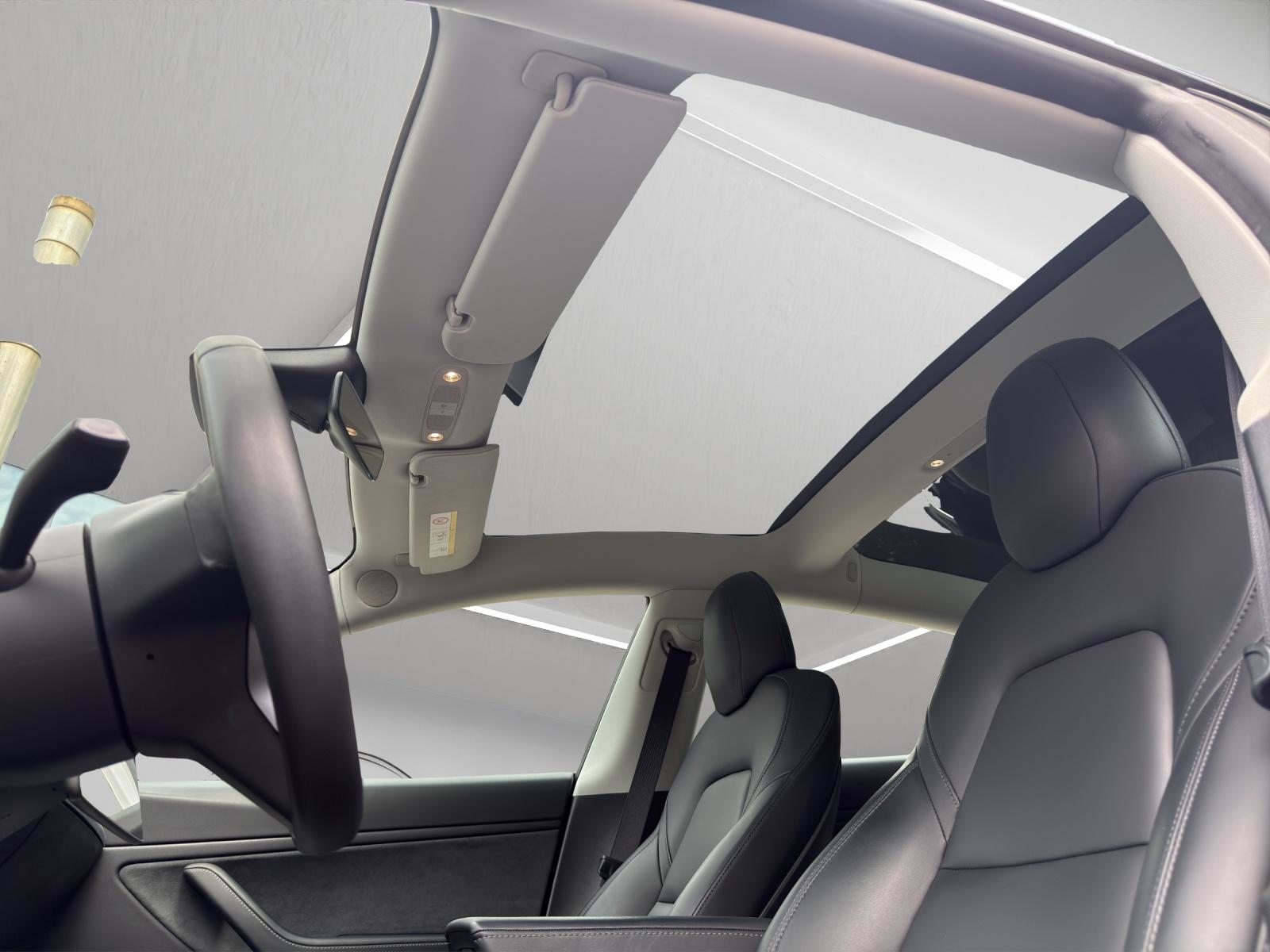 TESLA Model 3 Long Range D, Électrique, Occasion / Utilisé, Automatique - 6
