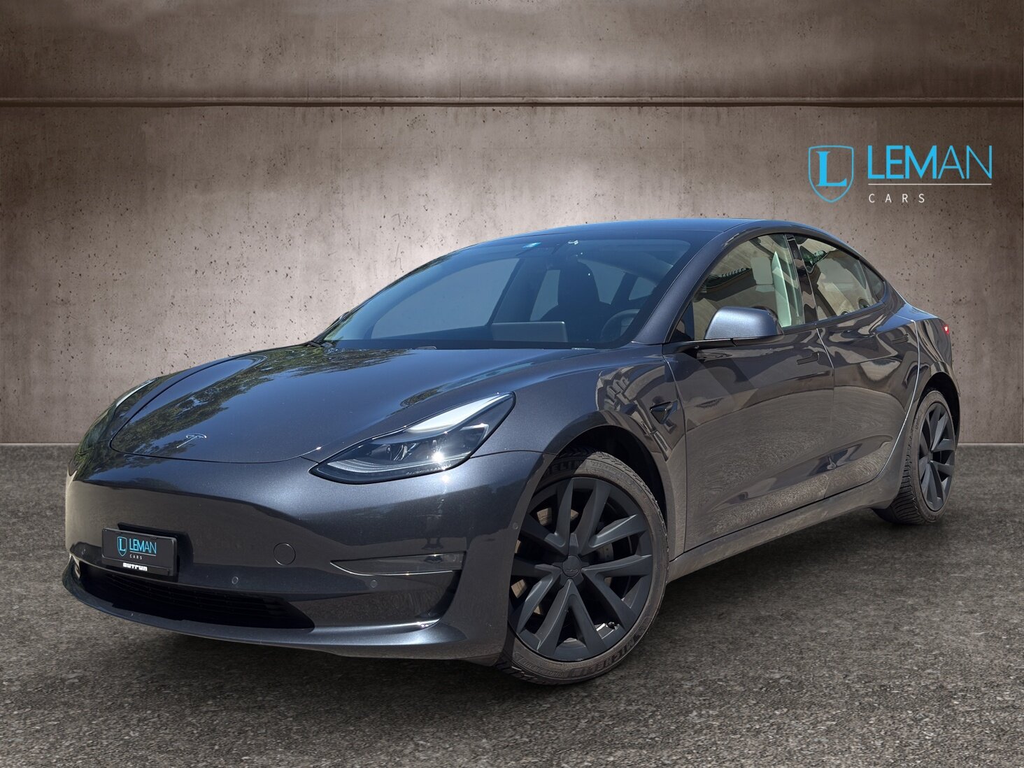 TESLA Model 3 Long Range Dual Motor AWD