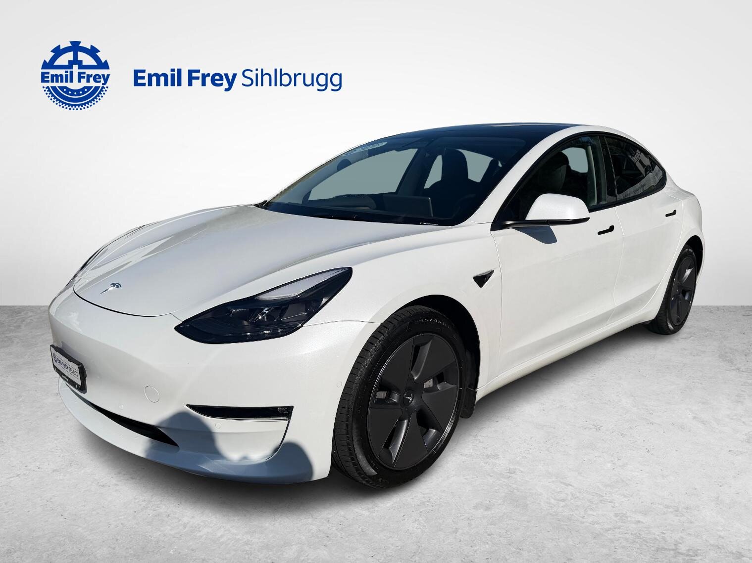 TESLA Model 3 Long Range D