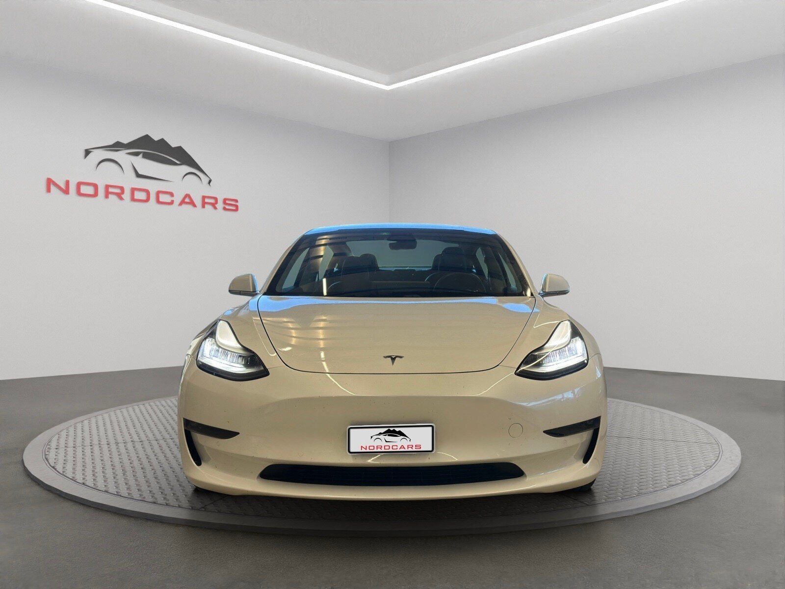 TESLA Model 3 Performance Dual Motor AWD, Électrique, Occasion / Utilisé, Automatique - 7