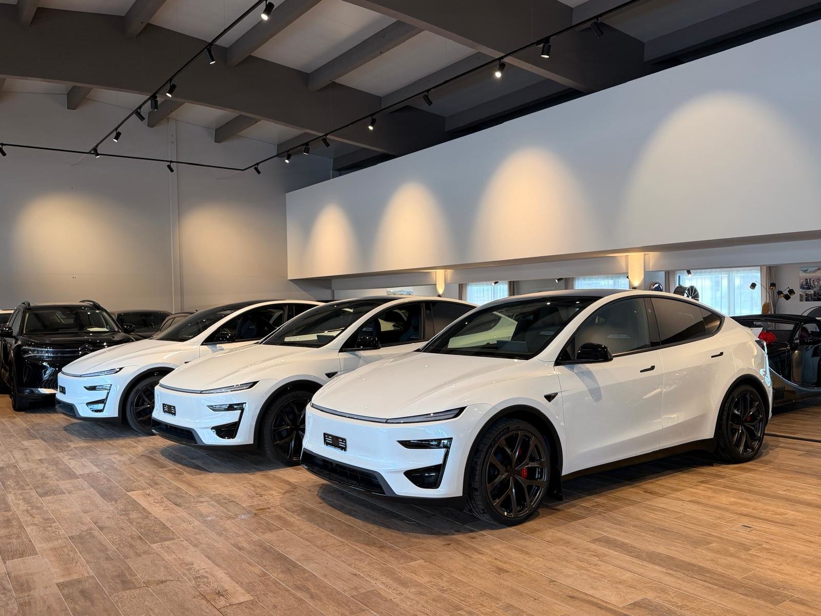 TESLA Model Y Performance, Électrique, Voiture nouvelle, Automatique - 2