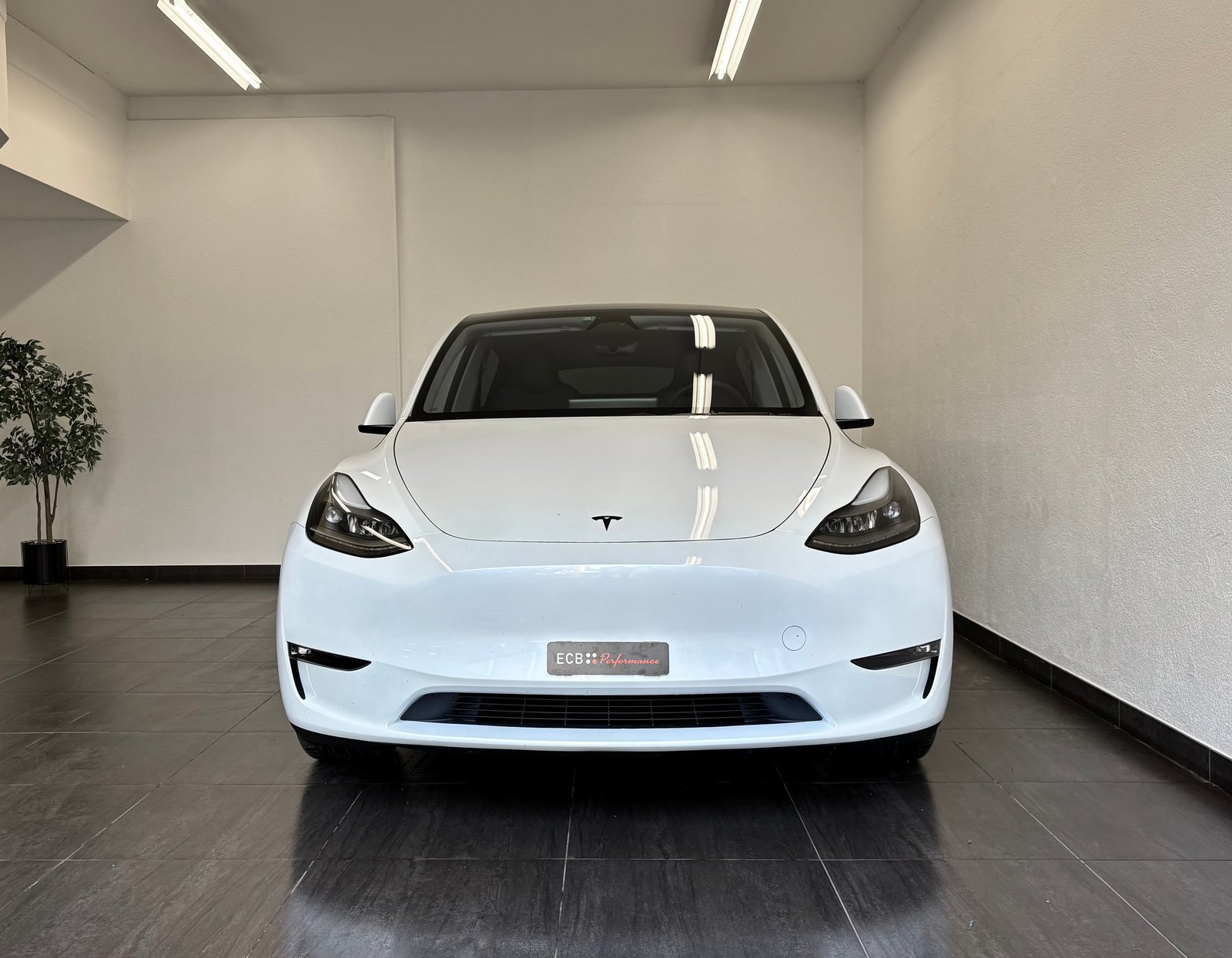 TESLA Model Y Performance, Elettrica, Occasioni / Usate, Automatico - 3
