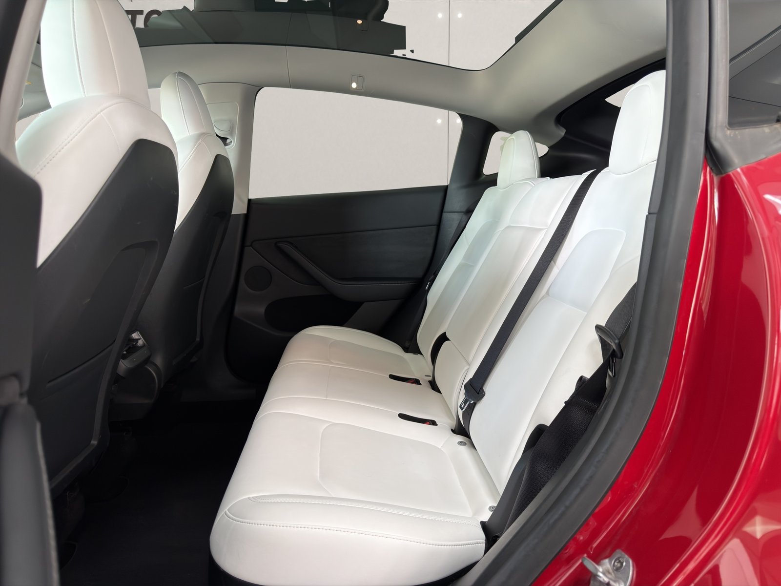 TESLA Model Y Long Range, Elettrica, Occasioni / Usate, Automatico - 7