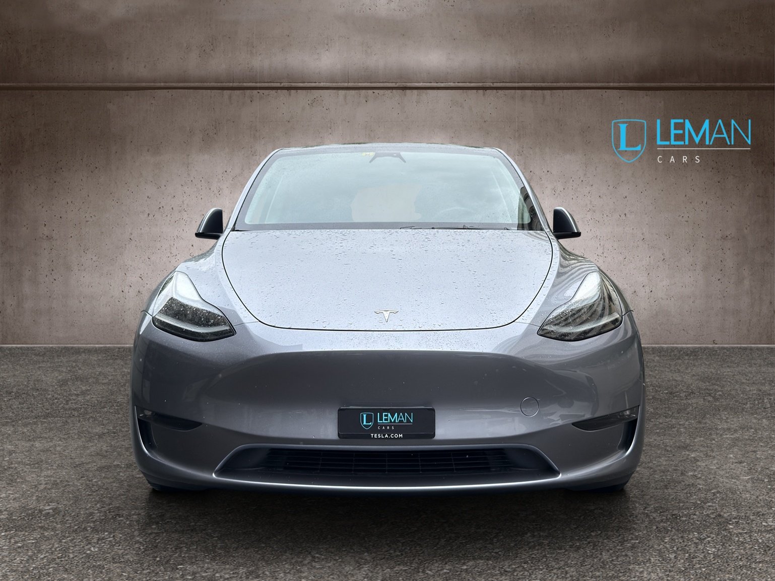 TESLA Model Y Performance, Électrique, Occasion / Utilisé, Automatique - 2