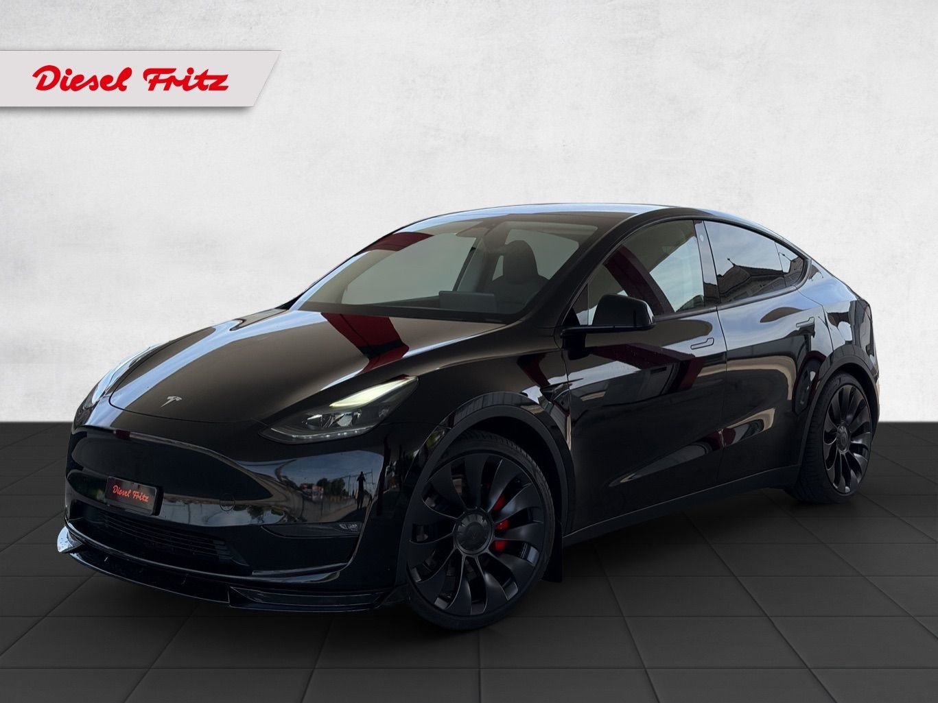 TESLA Model Y Performance