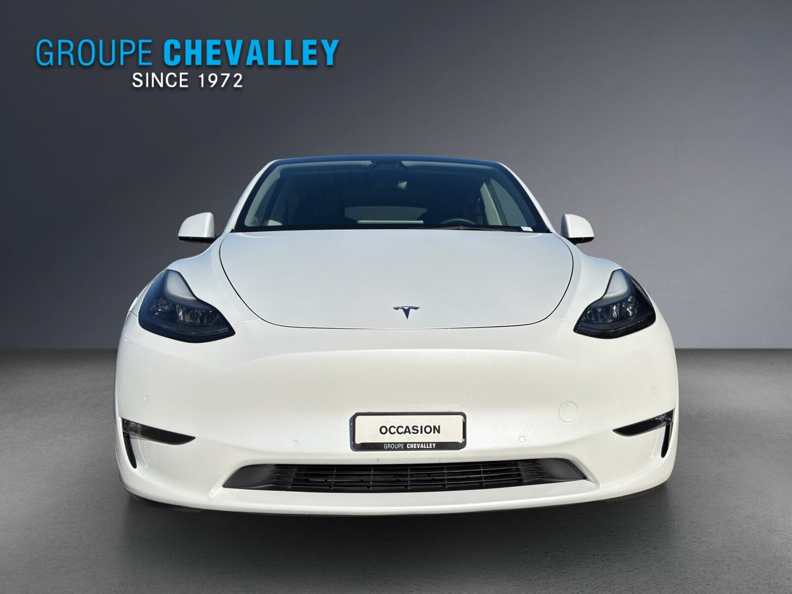 TESLA Model Y Performance, Elektro, Occasion / Gebraucht, Automatik - 2