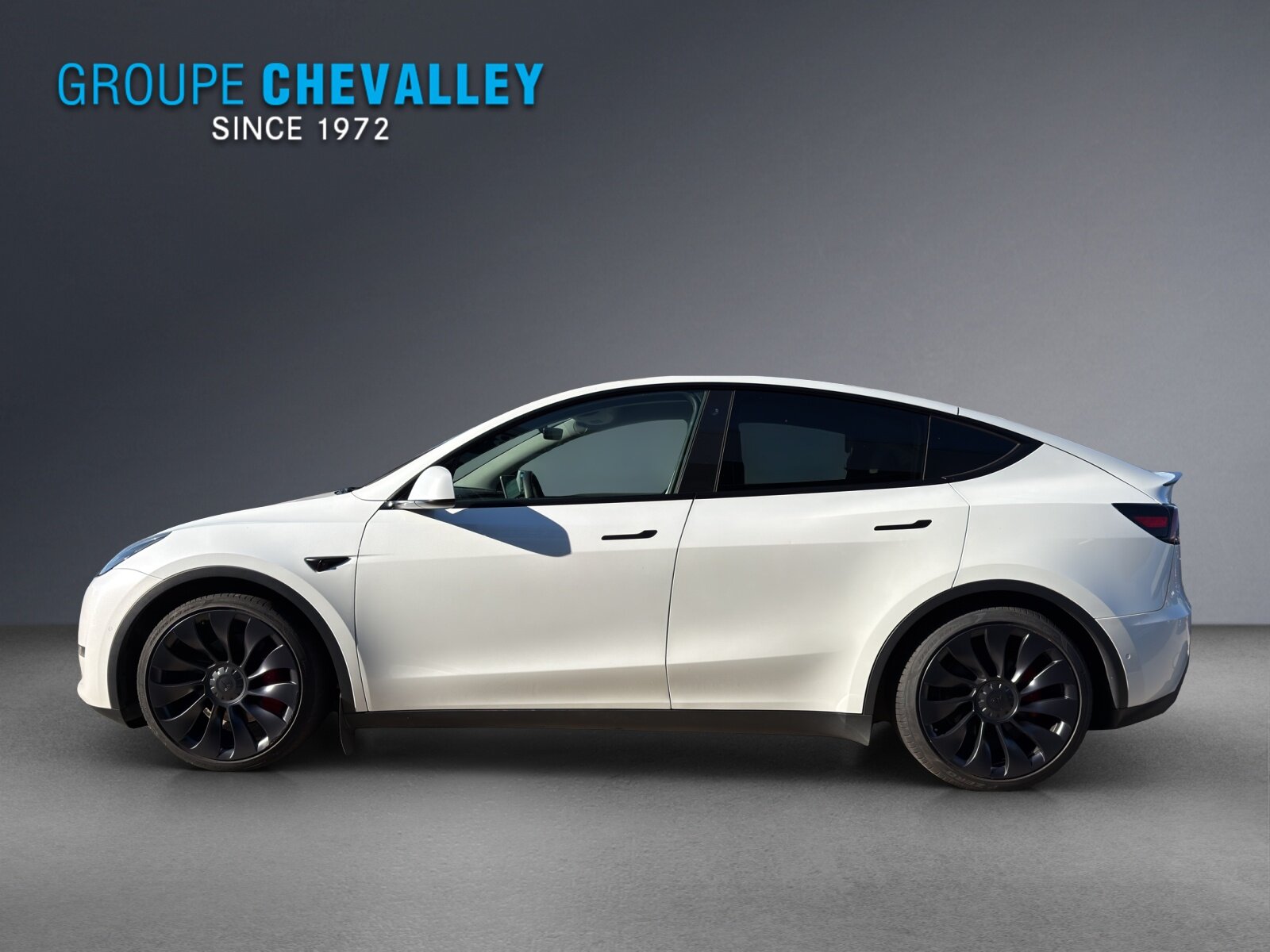 TESLA Model Y Performance, Elektro, Occasion / Gebraucht, Automatik - 3