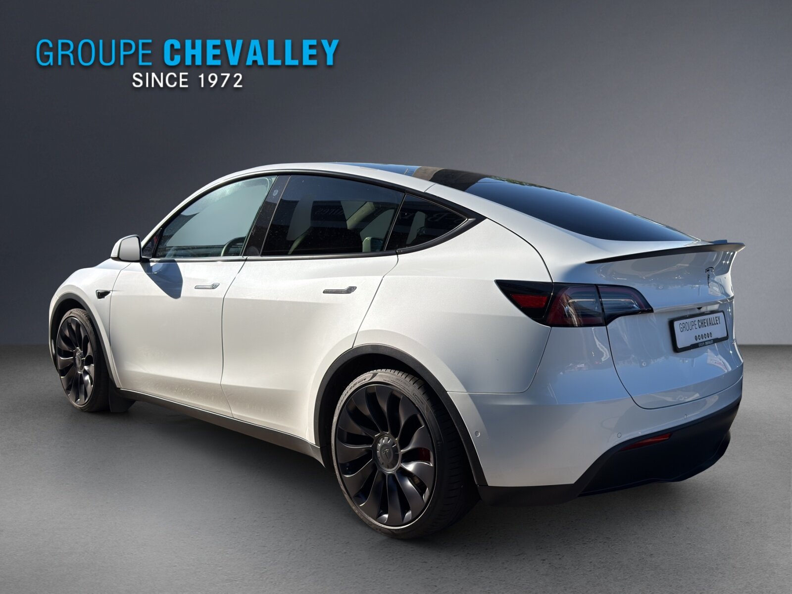 TESLA Model Y Performance, Elektro, Occasion / Gebraucht, Automatik - 4