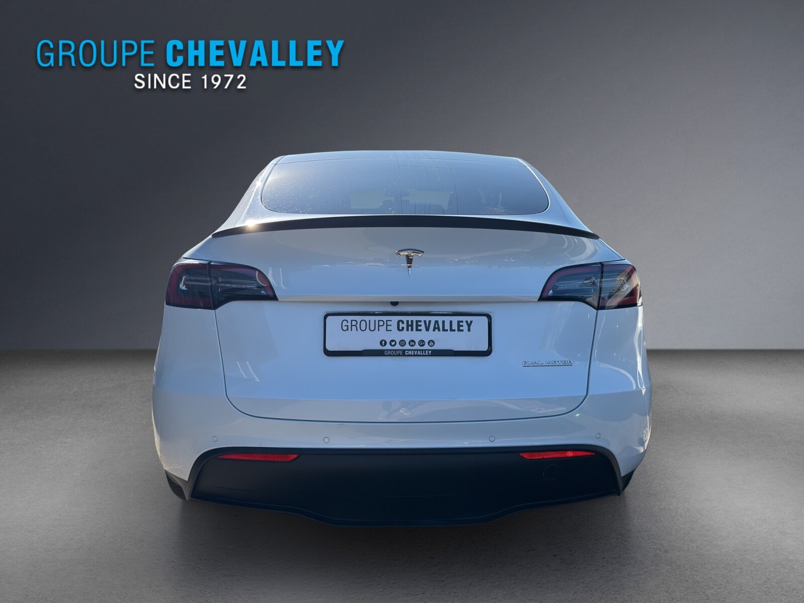 TESLA Model Y Performance, Elektro, Occasion / Gebraucht, Automatik - 5
