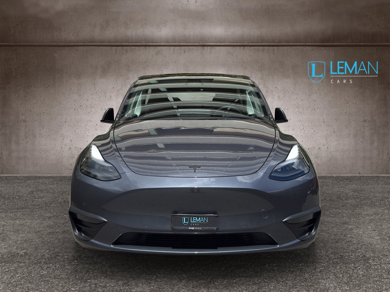 TESLA Model Y Long Range, Elektro, Occasion / Gebraucht, Automatik - 2