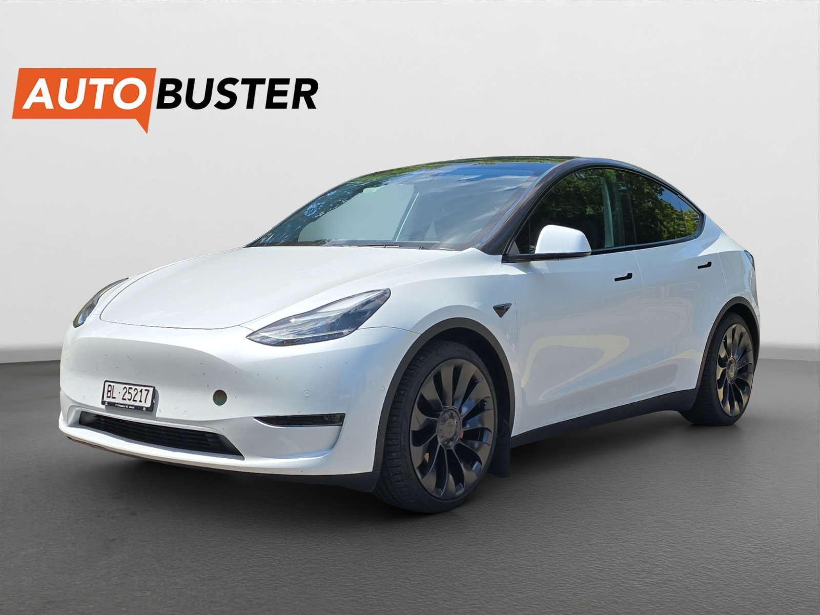 TESLA Model Y Performance 534 PS
