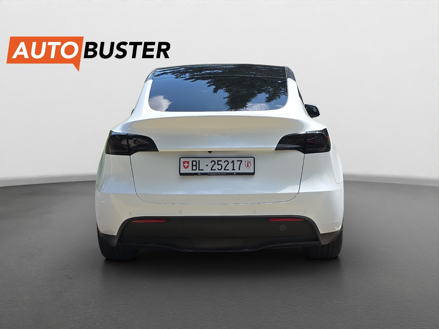TESLA Model Y Performance 534 PS, Electric, Second hand / Used, Automatic - 4