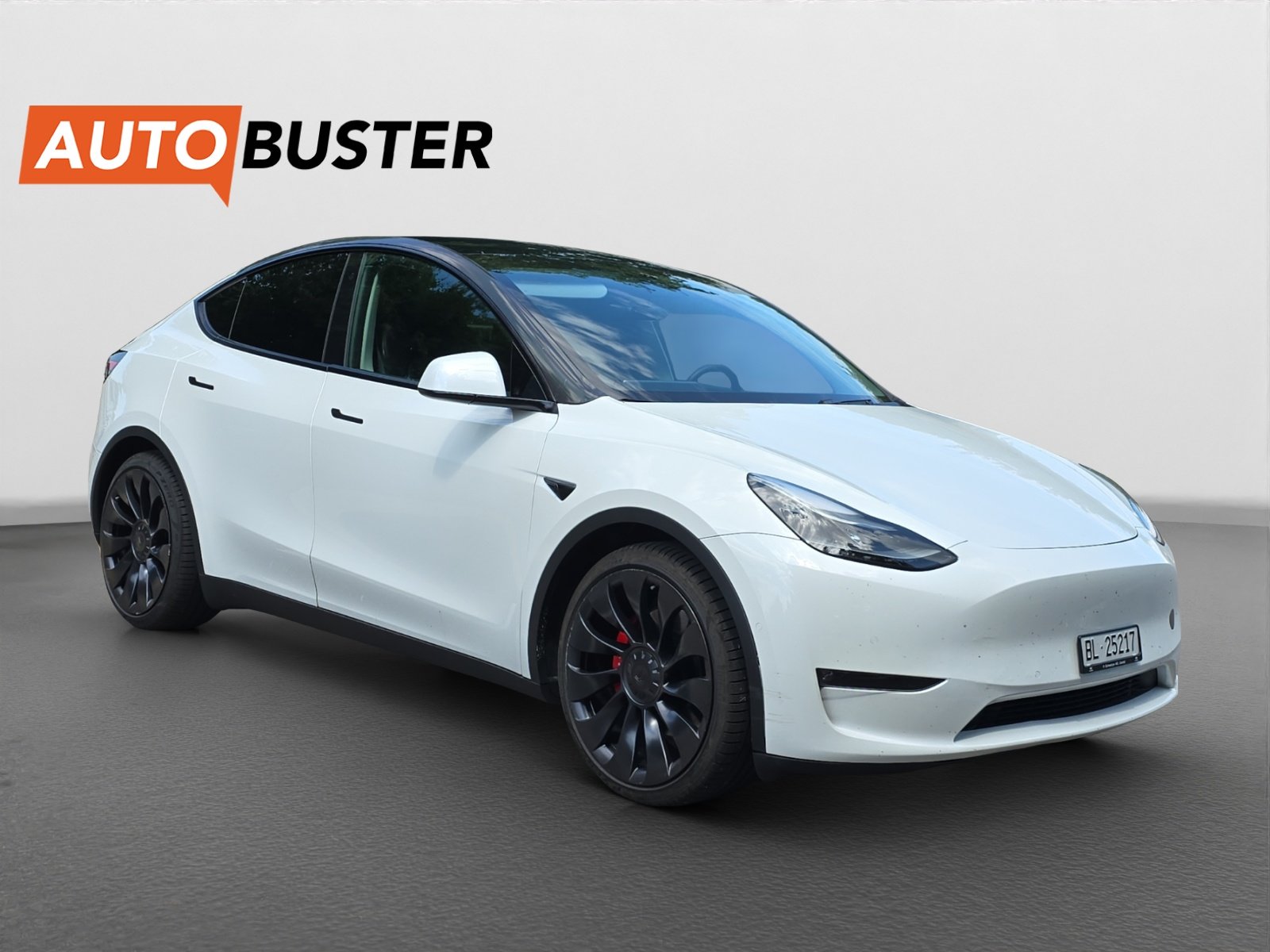TESLA Model Y Performance 534 PS, Electric, Second hand / Used, Automatic - 7