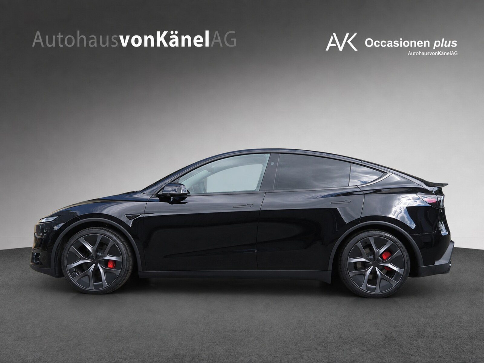 TESLA Model Y Performance, Elektro, Occasion / Gebraucht, Automatik - 2