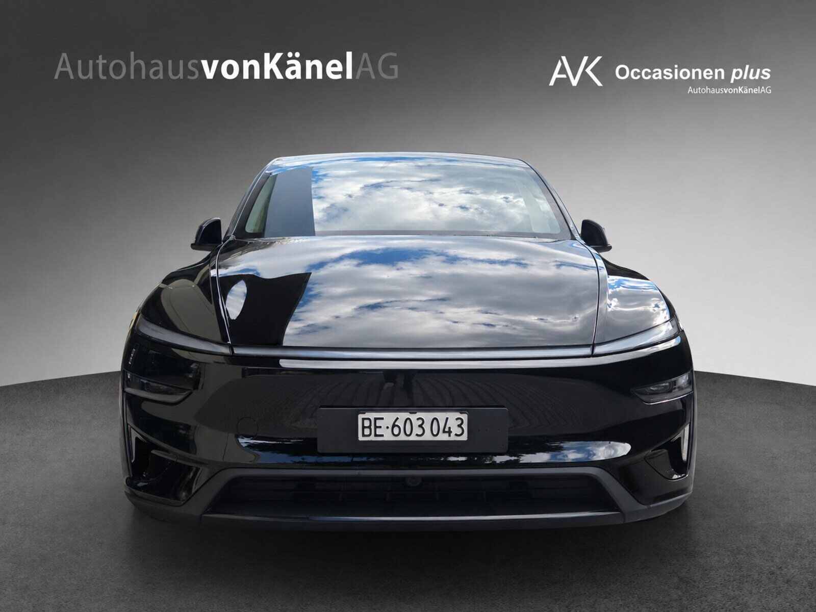 TESLA Model Y Performance, Elektro, Occasion / Gebraucht, Automatik - 4