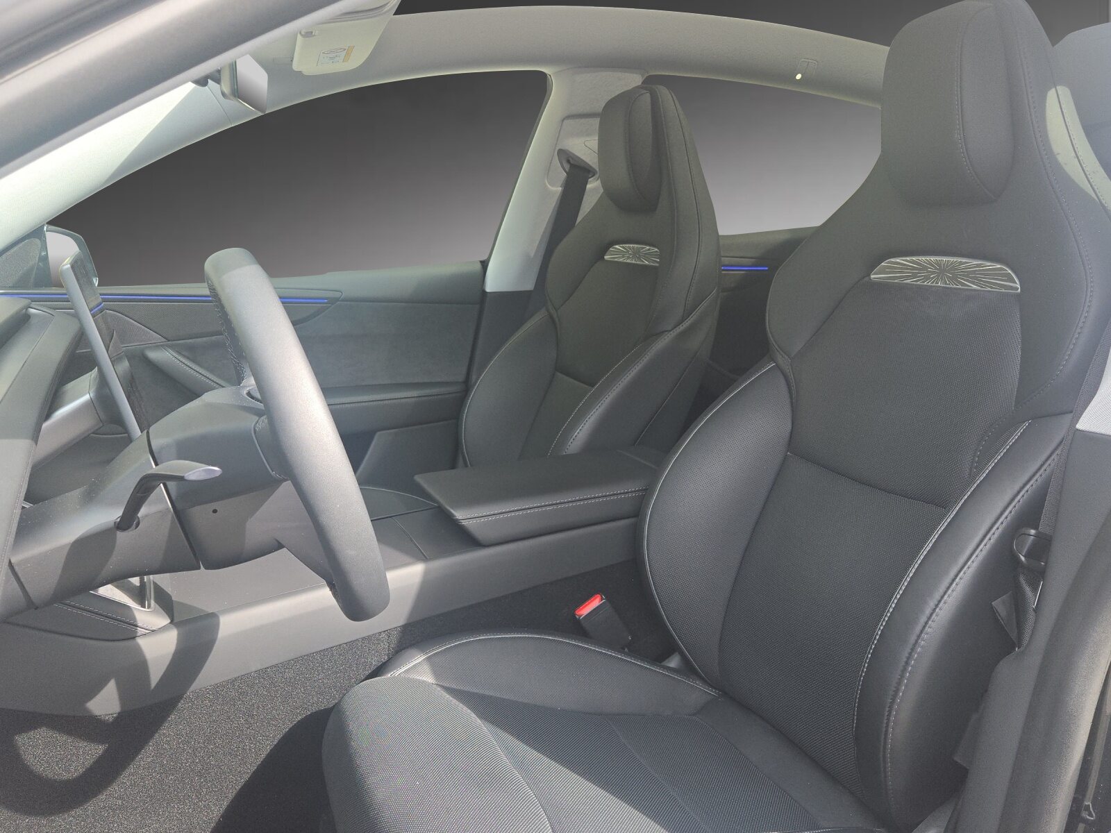 TESLA Model Y Performance, Elektro, Occasion / Gebraucht, Automatik - 6