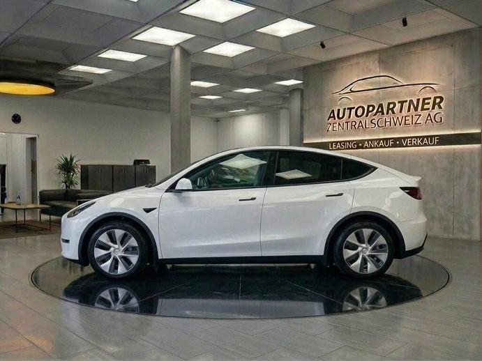 TESLA Model Y Long Range, Elettrica, Occasioni / Usate, Automatico
