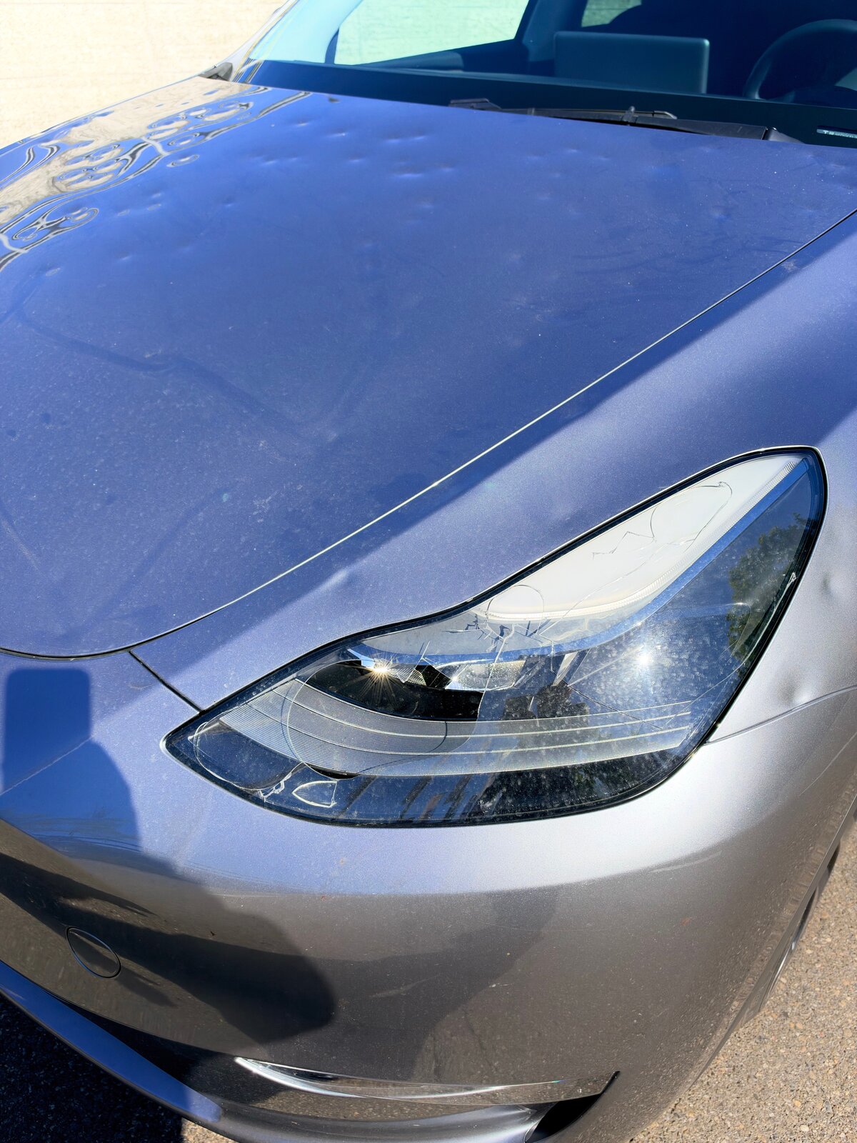 TESLA Model Y Performance, Électrique, Occasion / Utilisé, Automatique - 5