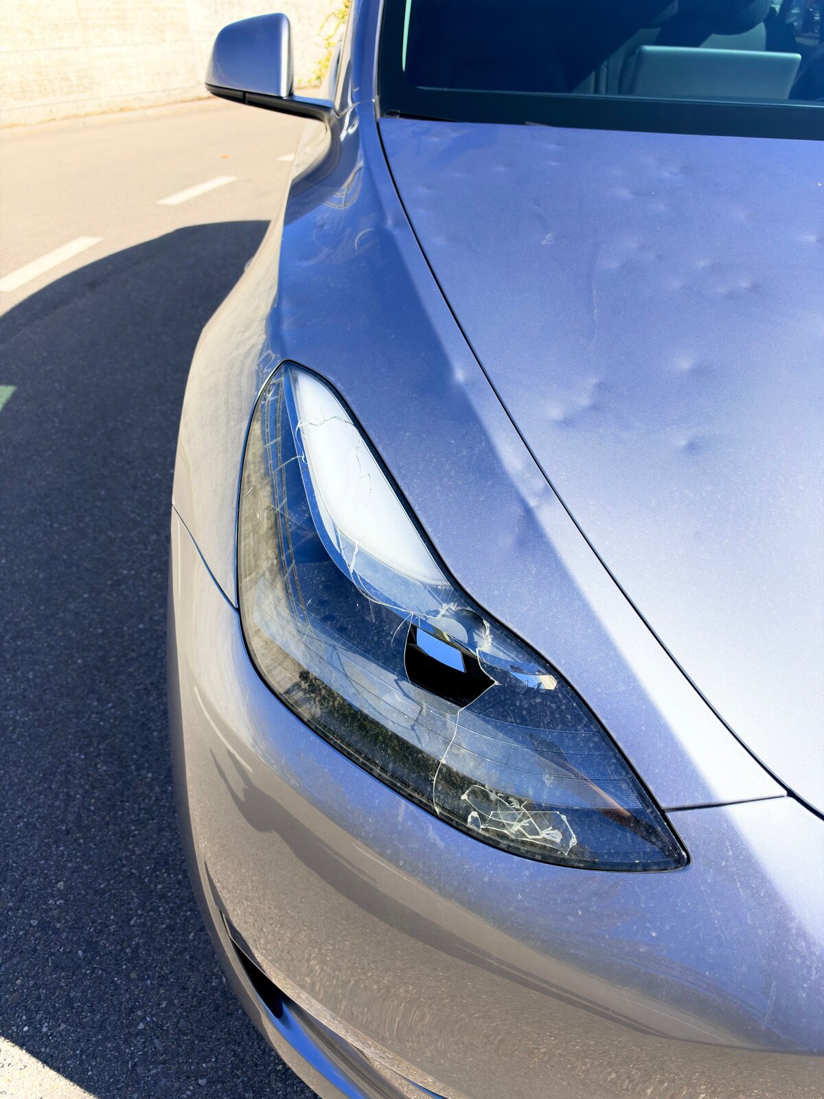 TESLA Model Y Performance, Électrique, Occasion / Utilisé, Automatique - 6