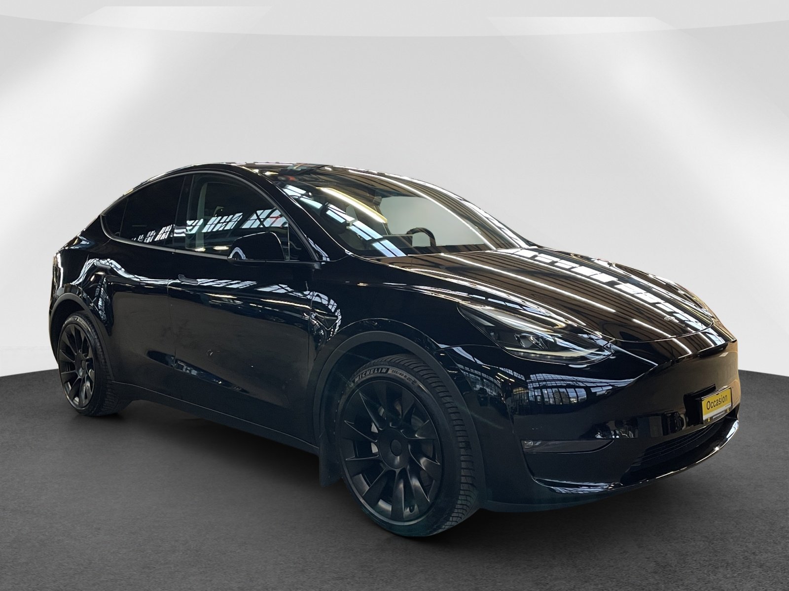 TESLA Model Y Long Range D