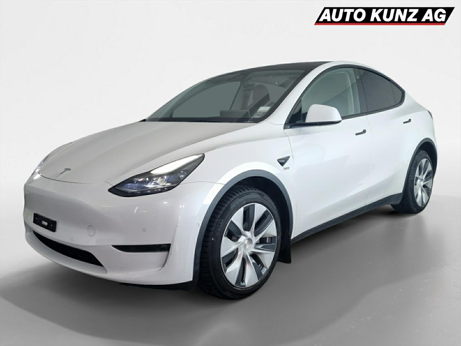 TESLA Model Y Long Range Dual AWD
