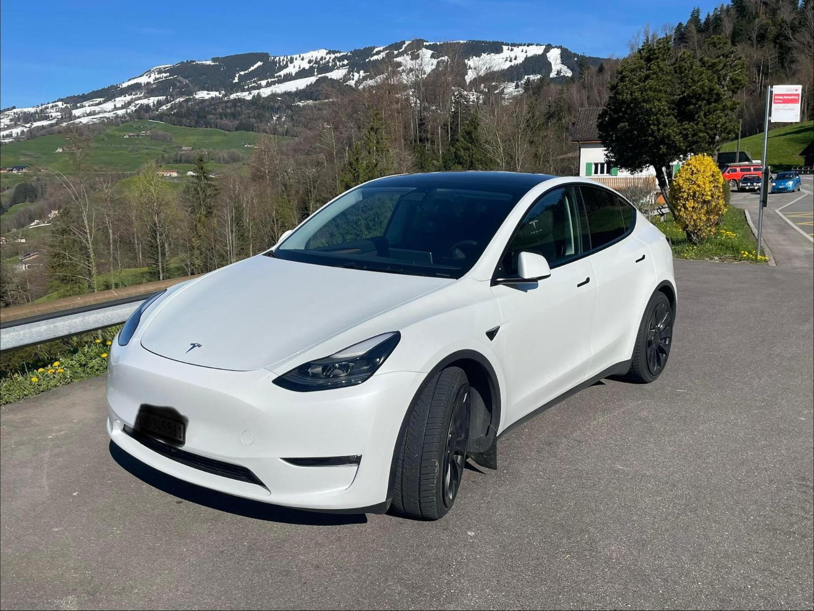 TESLA Model Y Performance D