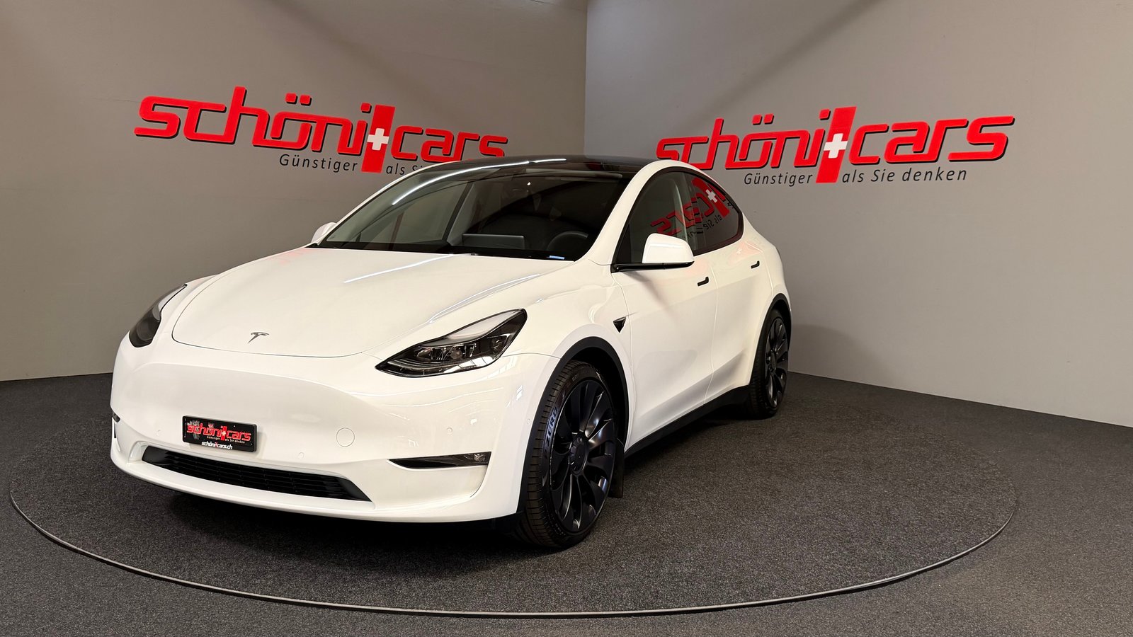 TESLA Model Y Performance
