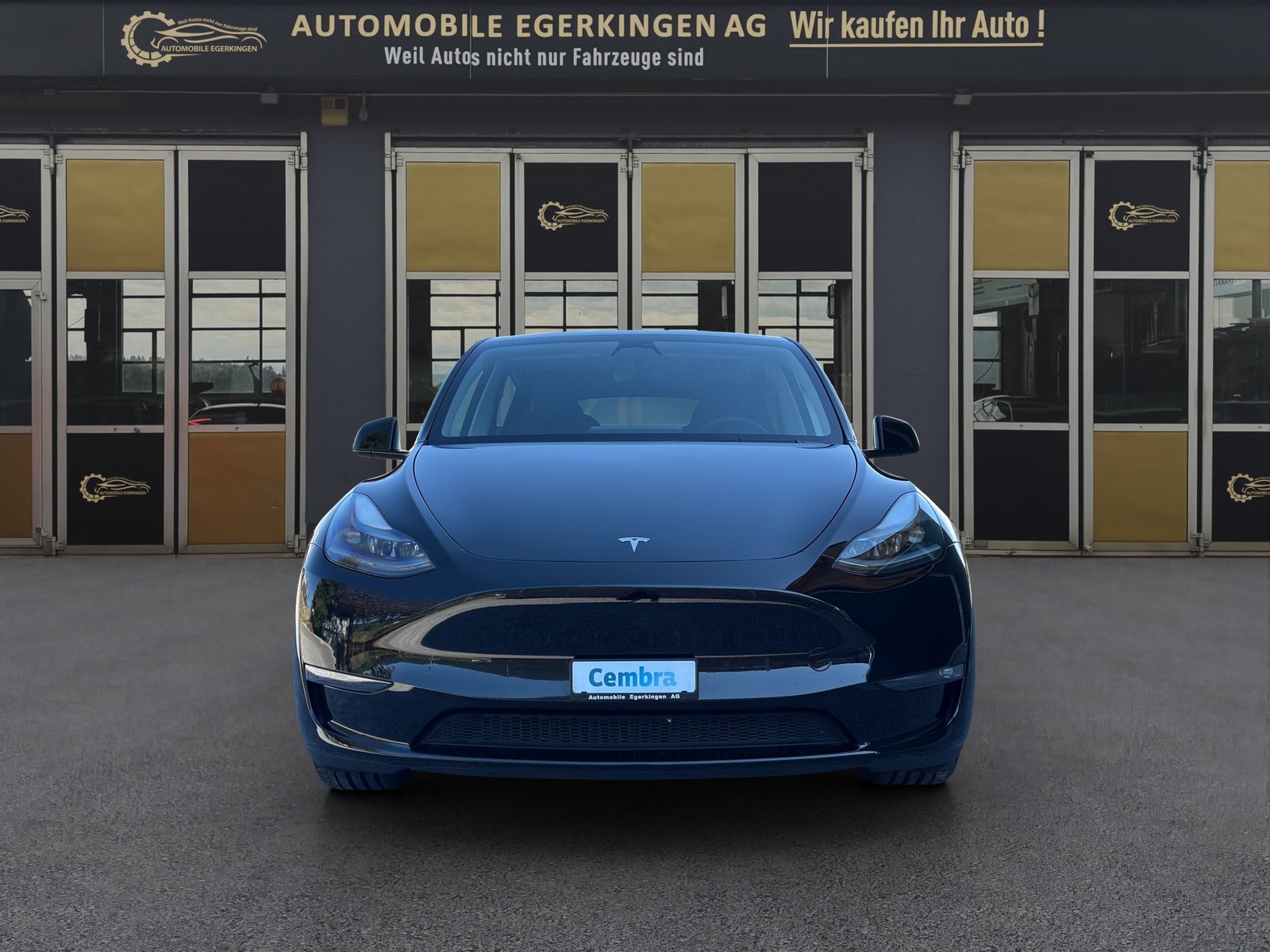 TESLA Model Y Performance D, Électrique, Occasion / Utilisé, Automatique - 2