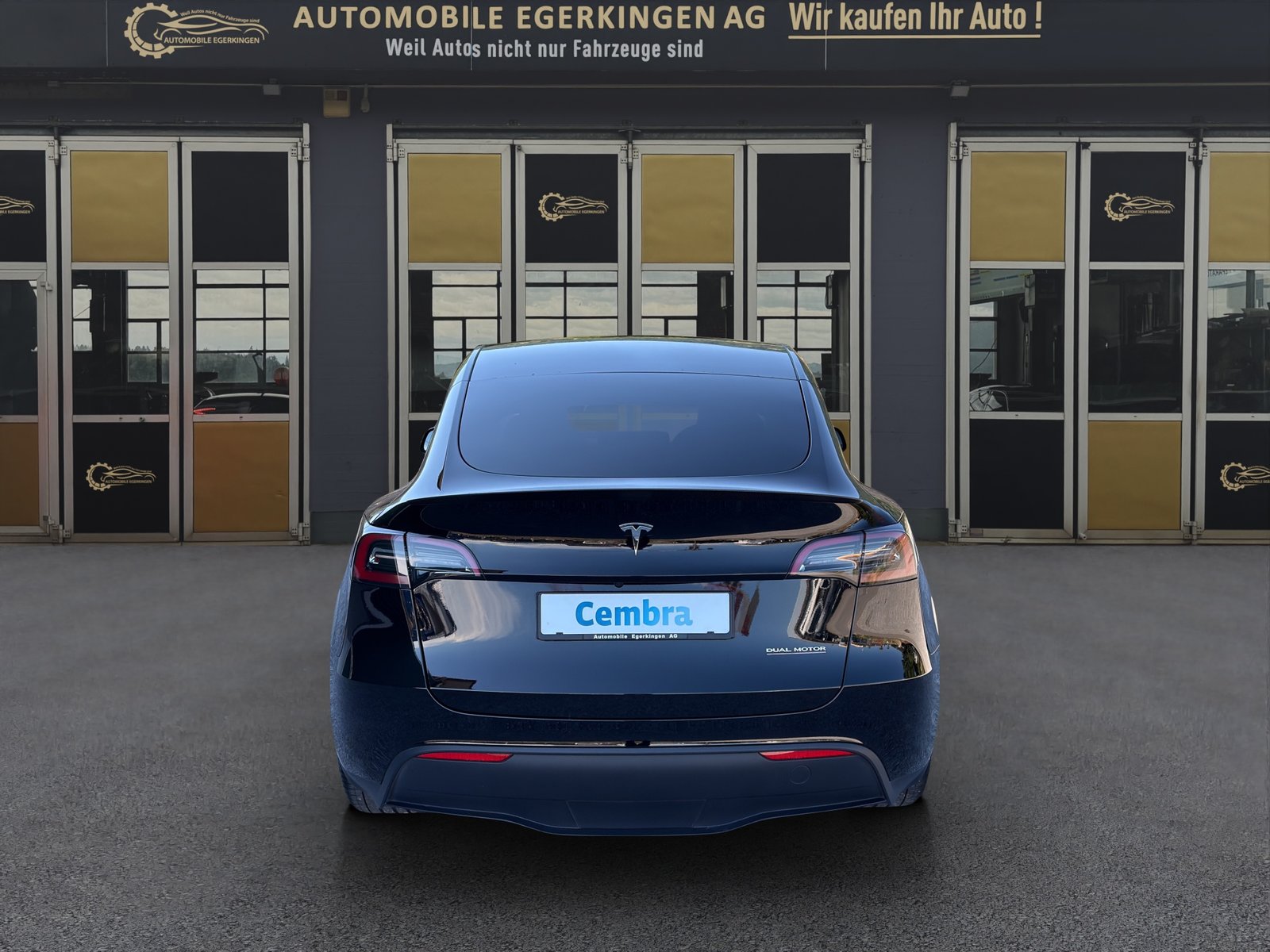 TESLA Model Y Performance D, Électrique, Occasion / Utilisé, Automatique - 6