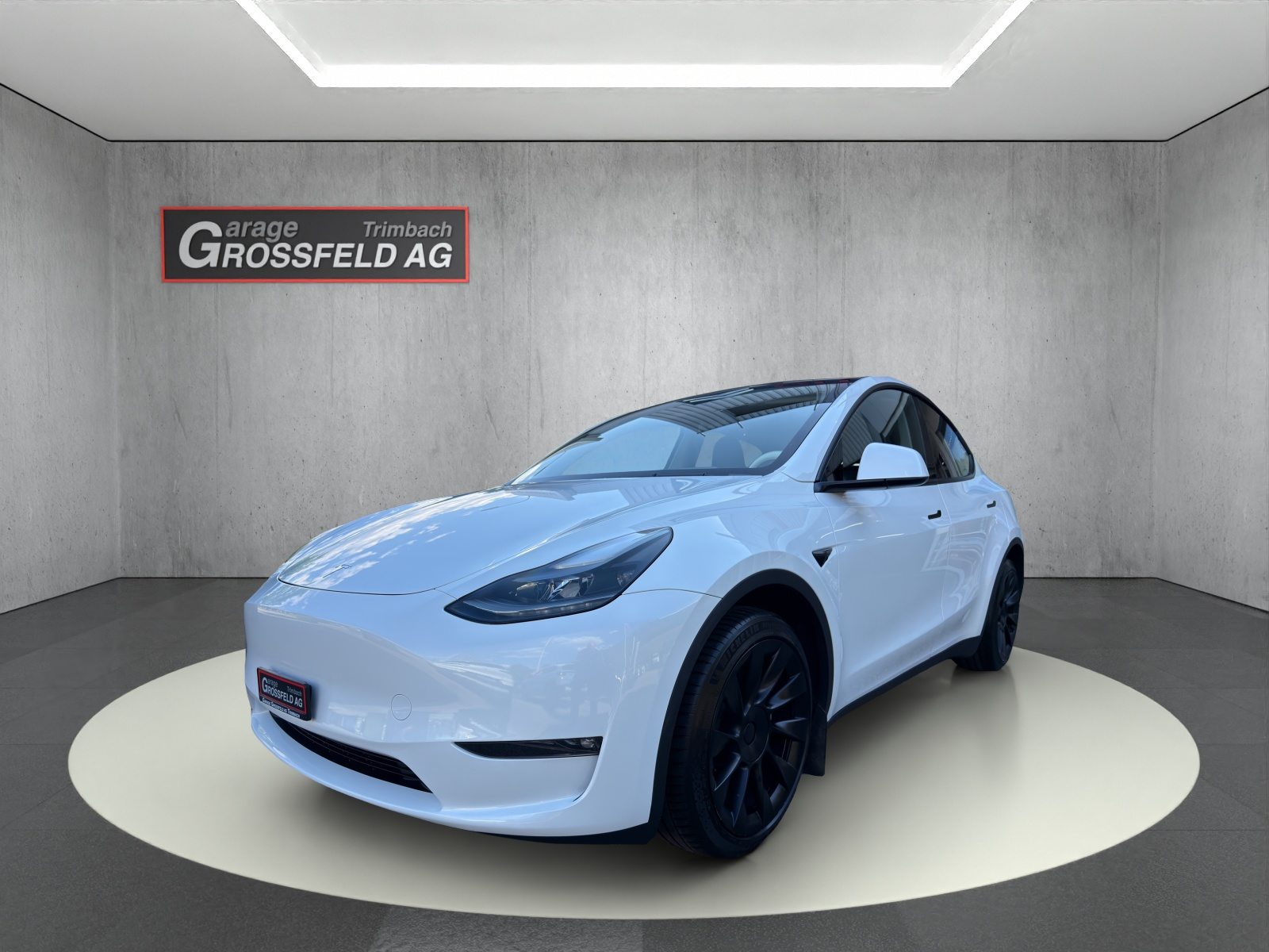 TESLA Model Y Long Range D