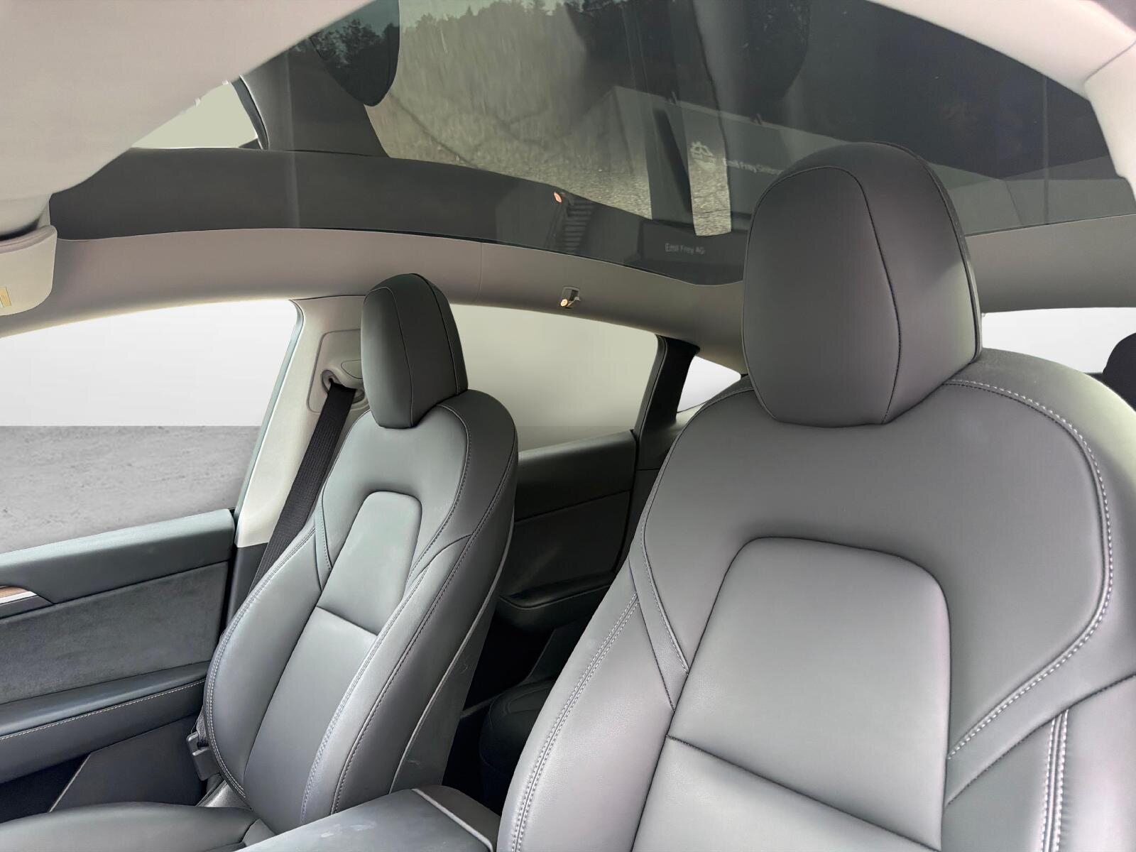 TESLA Model Y Long Range D, Elettrica, Occasioni / Usate, Automatico - 3