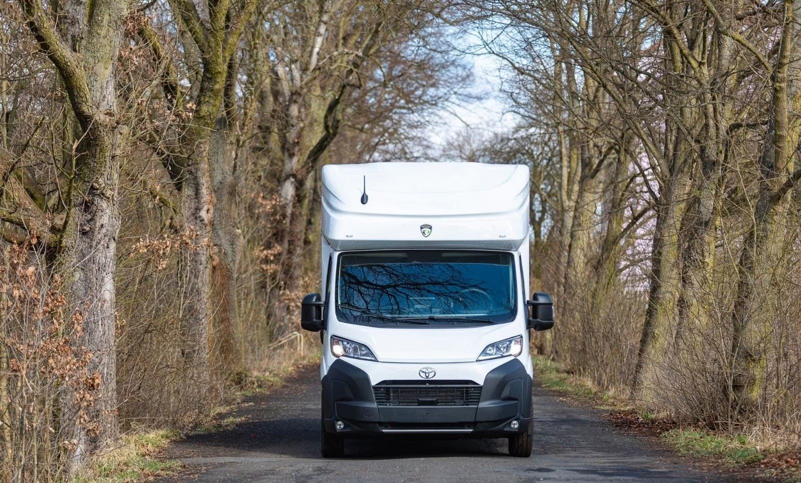TOYOTA Proace MAX 2.2D Kühlwagen, Diesel, Neuwagen, Automatik - 2