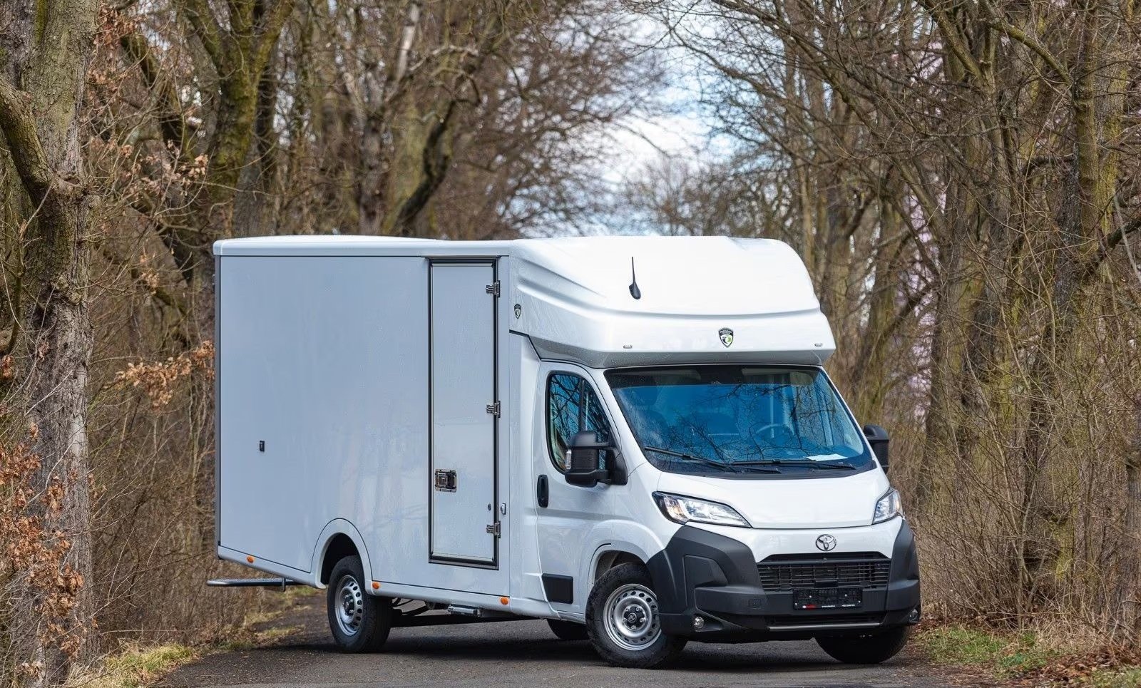 TOYOTA Proace MAX 2.2D Kühlwagen, Diesel, Neuwagen, Automatik - 3