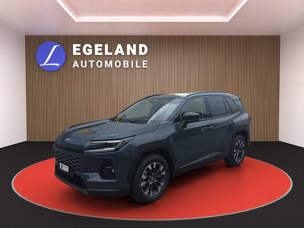 TOYOTA RAV4 2.5 HEV Trend 4WD