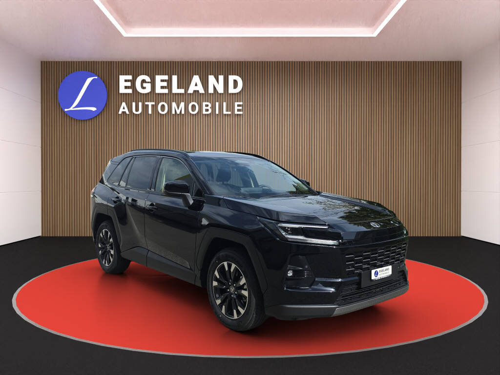 TOYOTA RAV4 2.5 HEV Trend 4WD, Full-Hybrid Petrol/Electric, New car, Automatic - 2