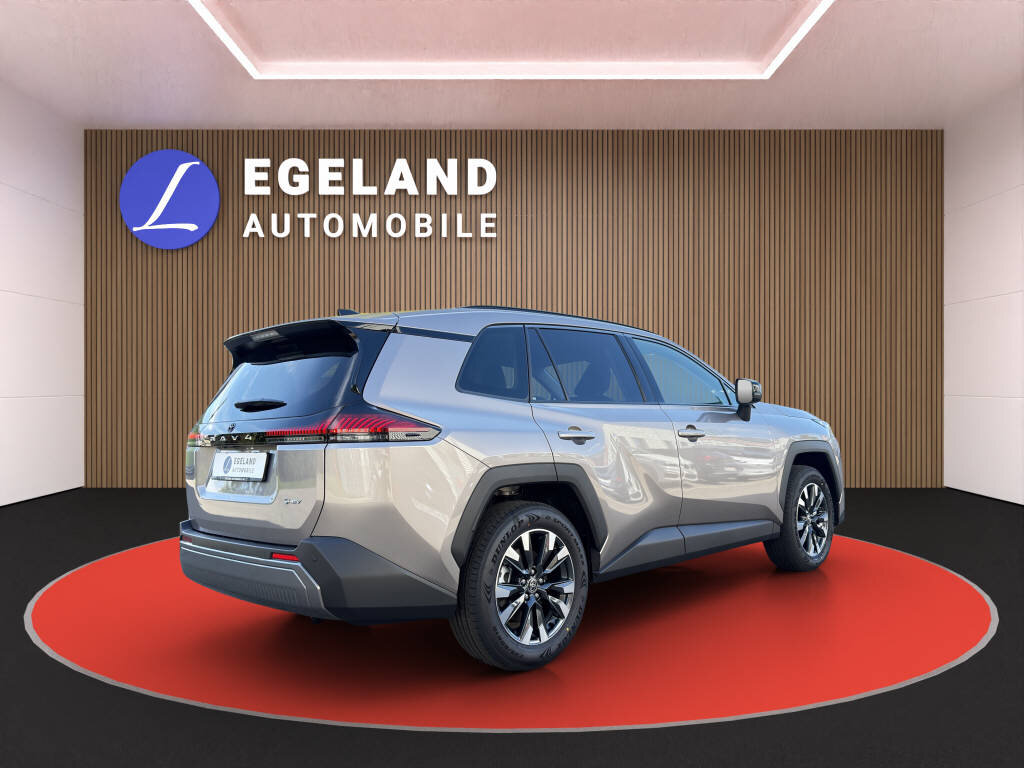 TOYOTA RAV4 2.5 HEV Trend 4WD, Voll-Hybrid Benzin/Elektro, Neuwagen, Automatik - 4