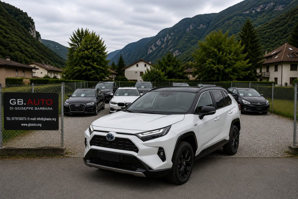 TOYOTA 2.5 Style 4X4