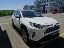 TOYOTA RAV4 2.5 HEV Premium, Hybride Integrale Benzina/Elettrica, Occasioni / Usate, Automatico - 2