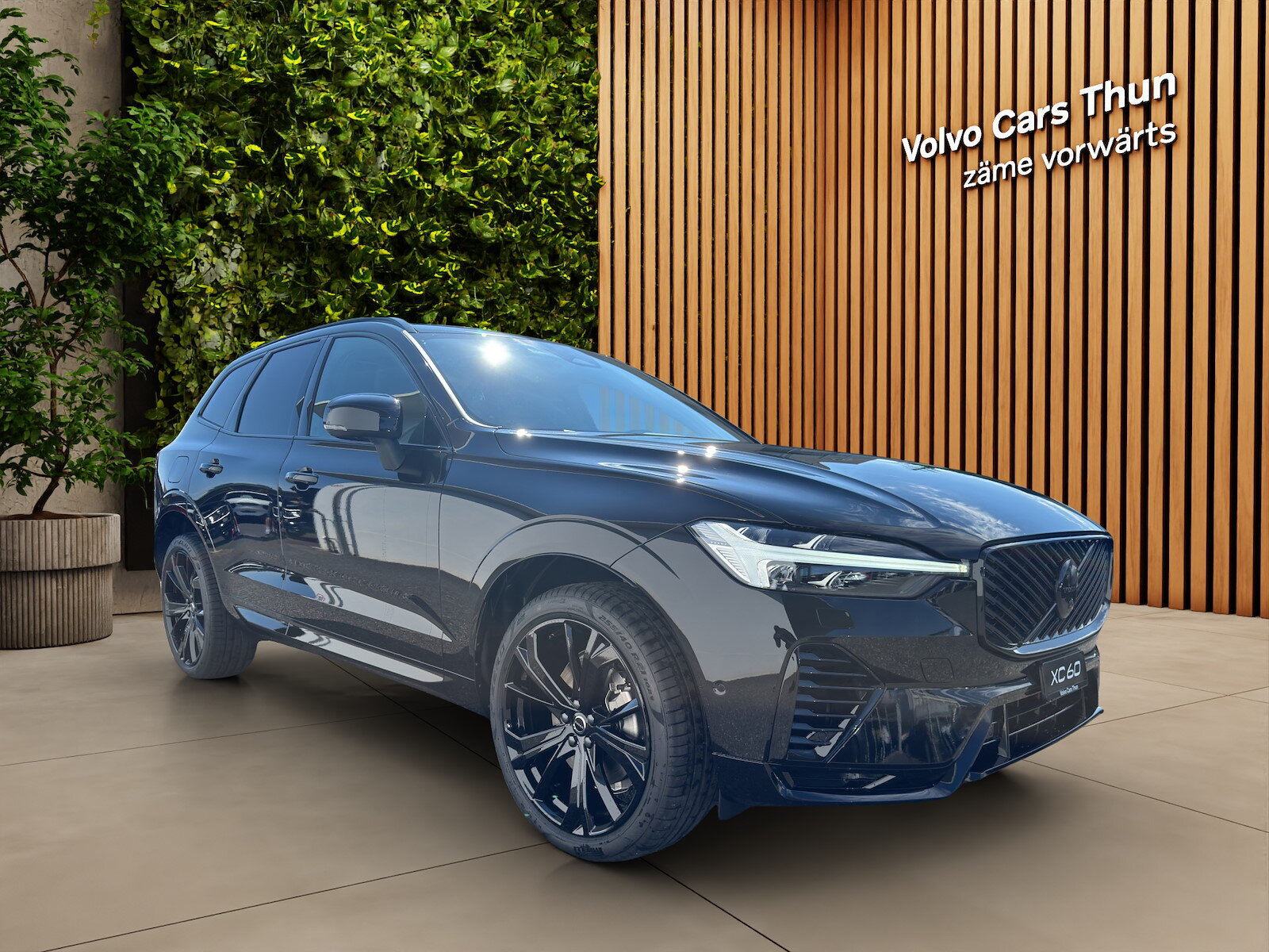 VOLVO XC60 2.0 T8 TE Black Edition eAWD, Plug-in-Hybrid Benzina/Elettrica, Auto nuove, Automatico - 7